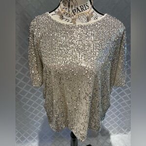 Sequin Embellished Silver Top by H & M Size Large